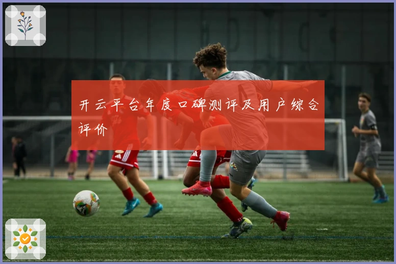 开云平台年度口碑测评及用户综合评价